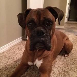 Meet your Posher, Diane